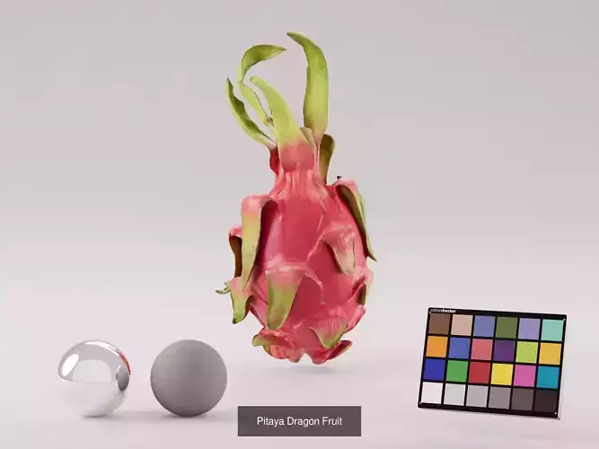 Dragonfruit Bundle 3D Model Pack 3