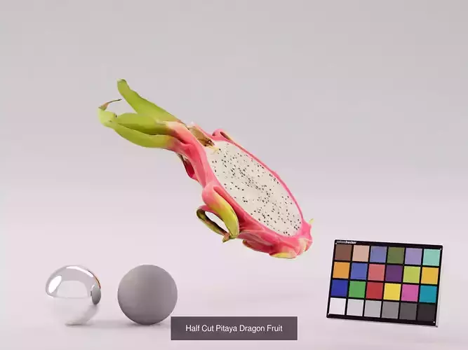 Dragonfruit Bundle 3D Model Pack 4