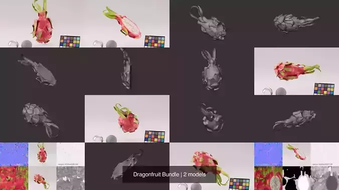 Dragonfruit Bundle 3D Model Pack 2