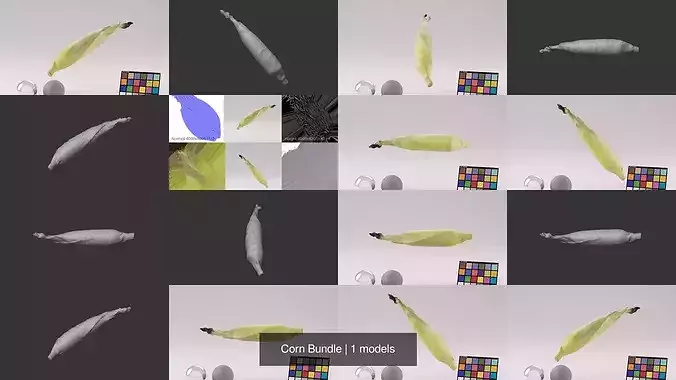 Corn Bundle 3D Model Pack 2