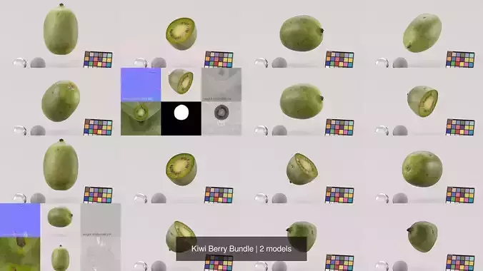 Kiwi Berry Bundle 3D Model Pack 2