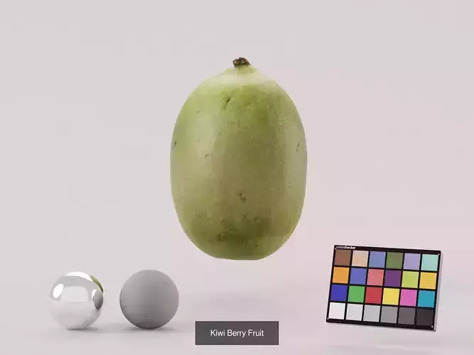 Kiwi Berry Bundle 3D Model Pack 3