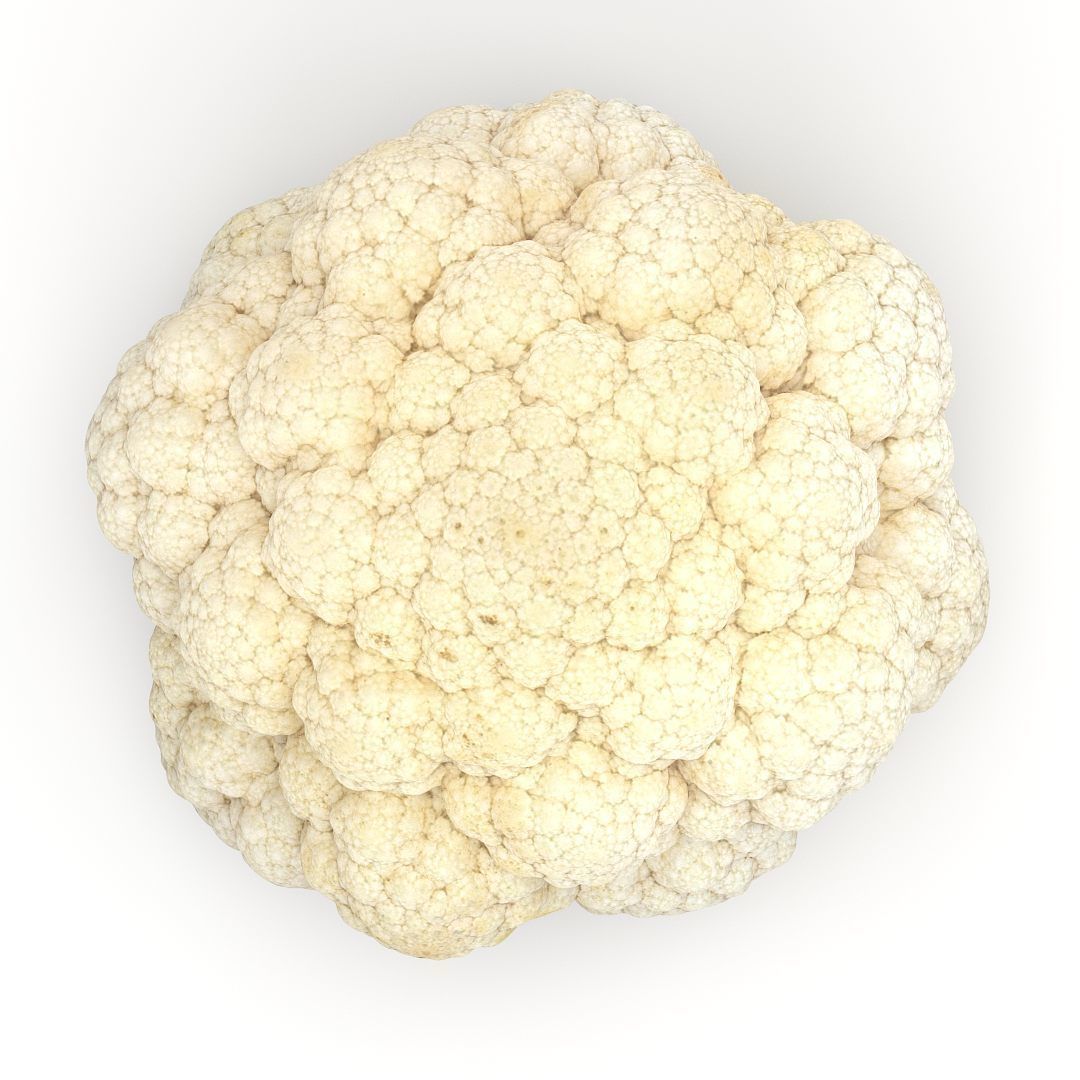 Cauliflower 3D model_1