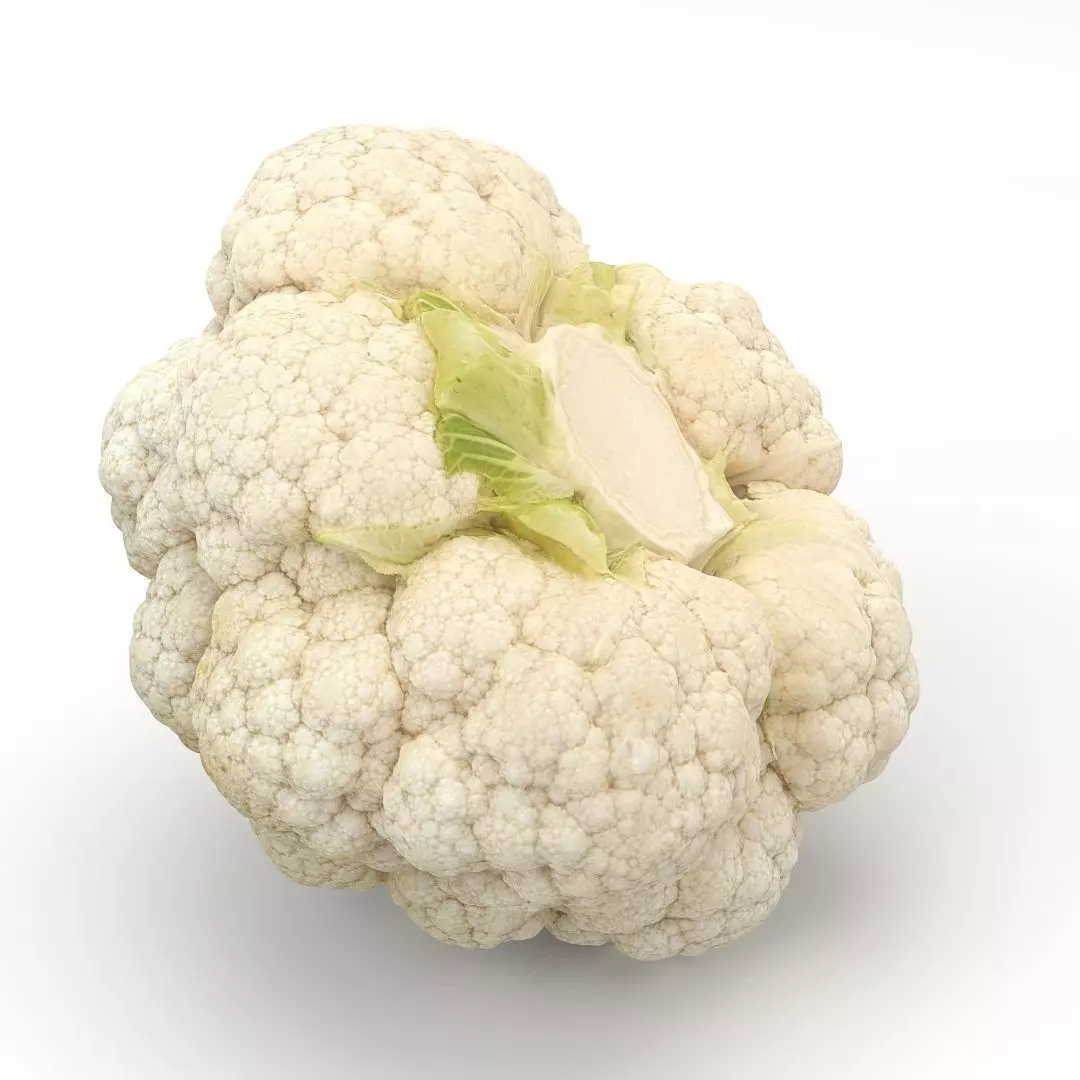 Cauliflower 3D model_0