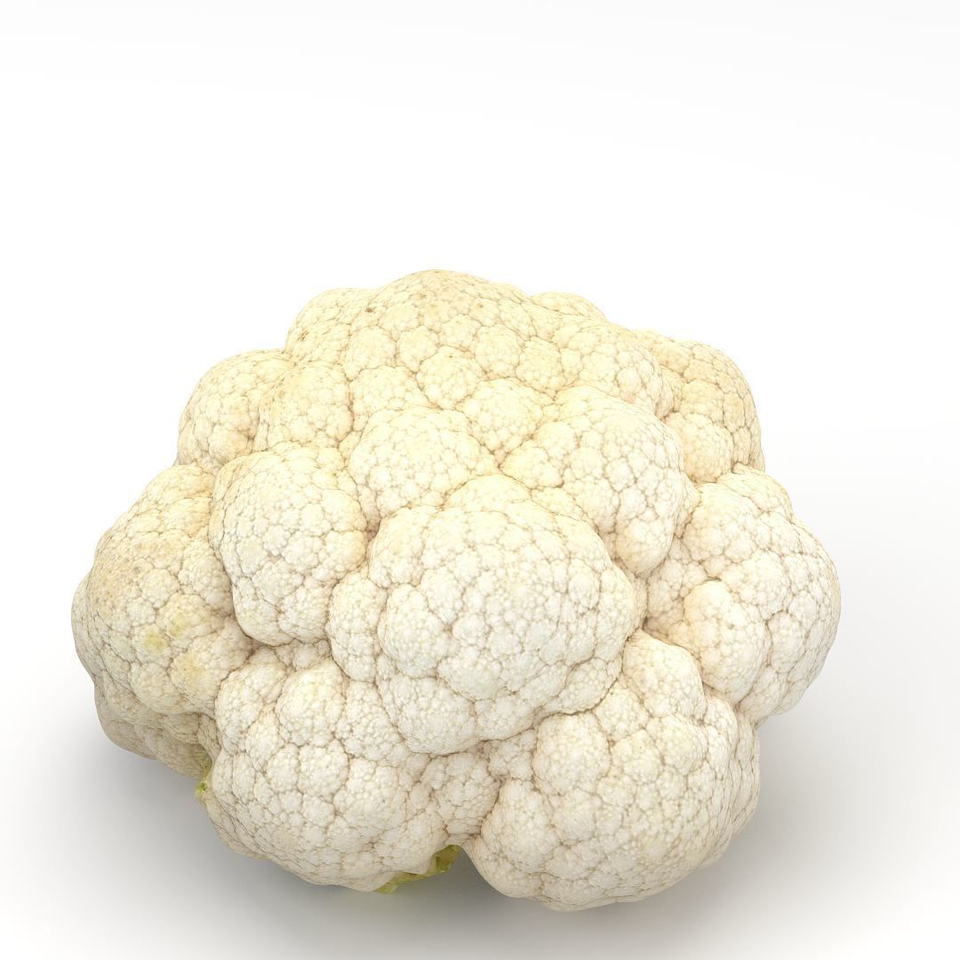 Cauliflower 3D model_6