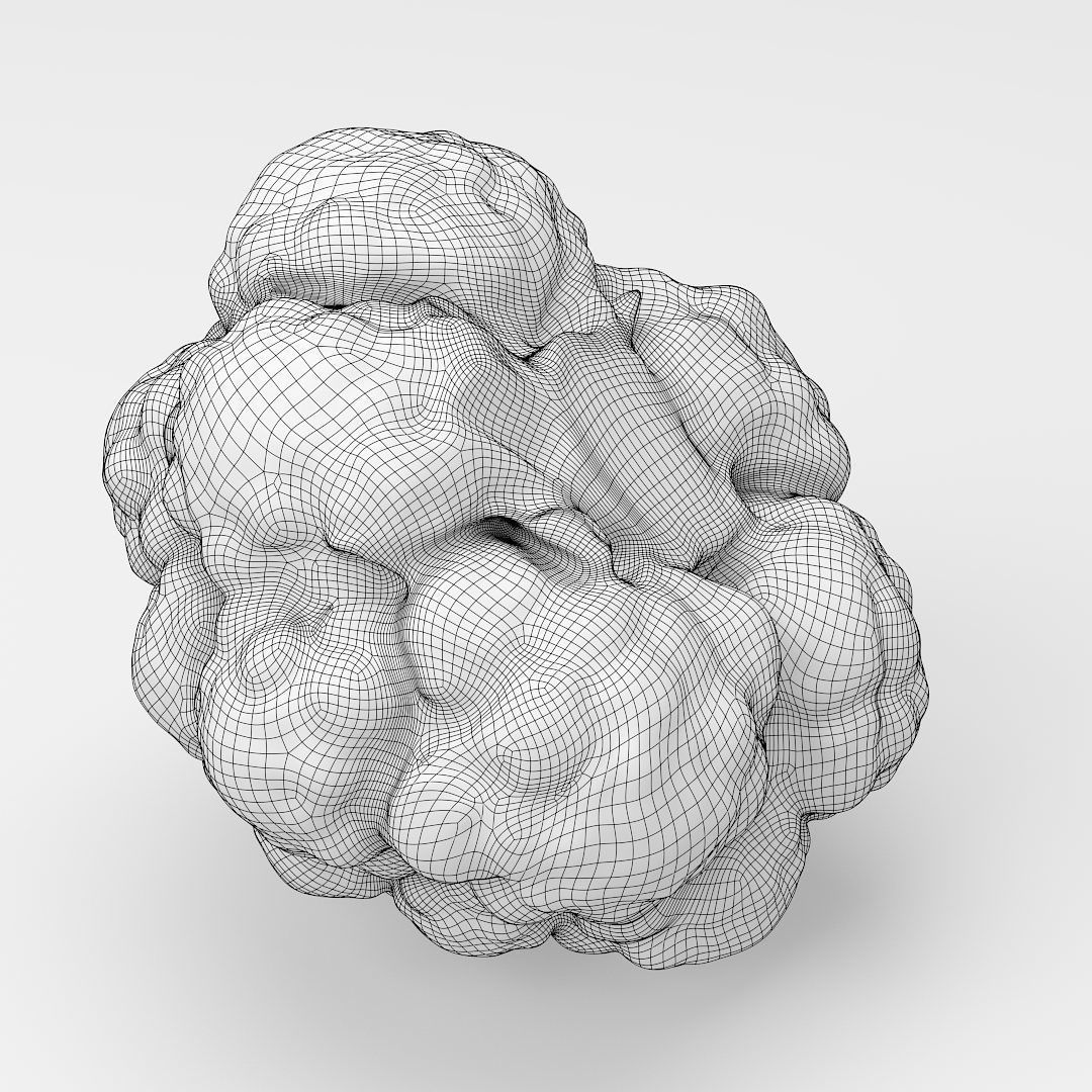 Cauliflower 3D model_5