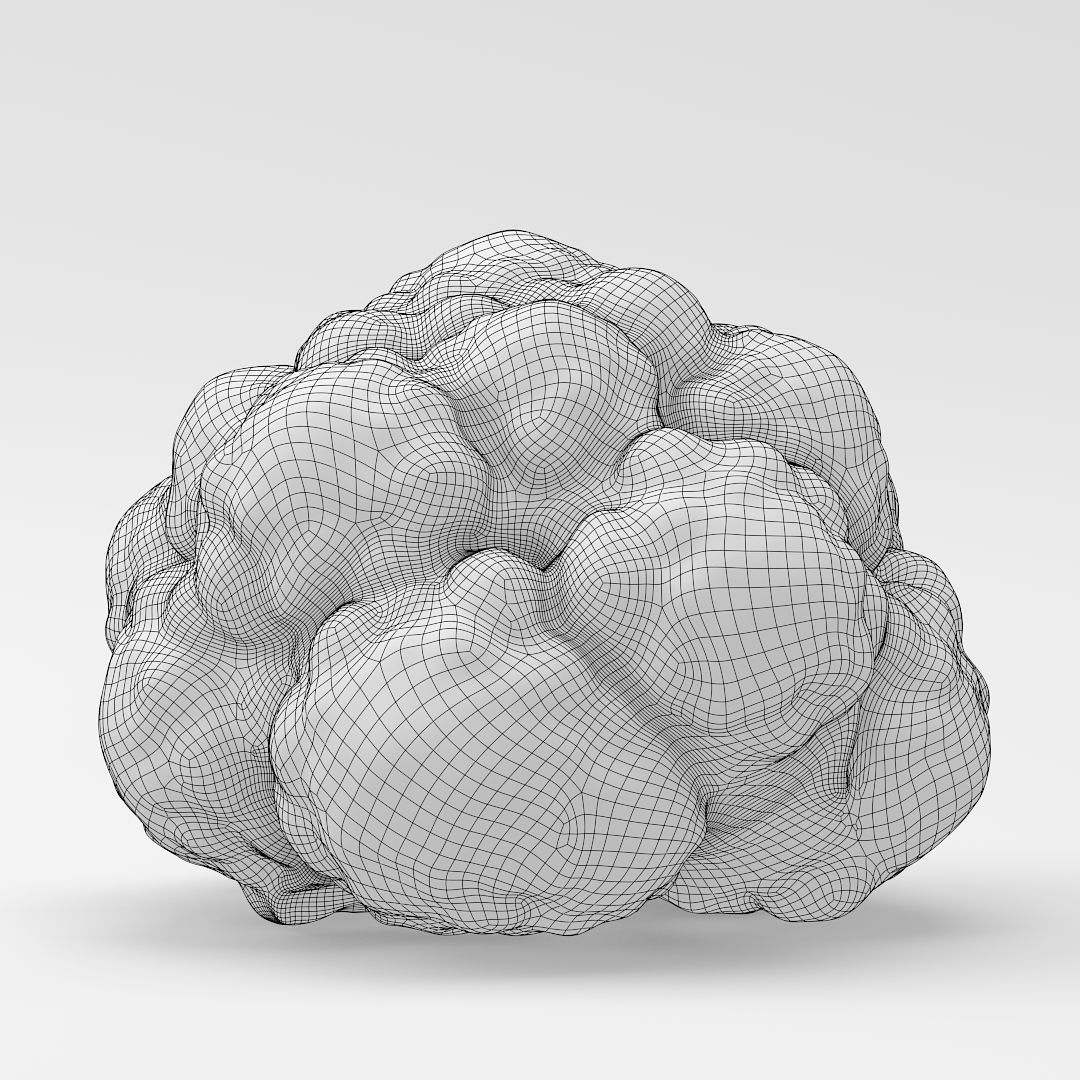 Cauliflower 3D model_11