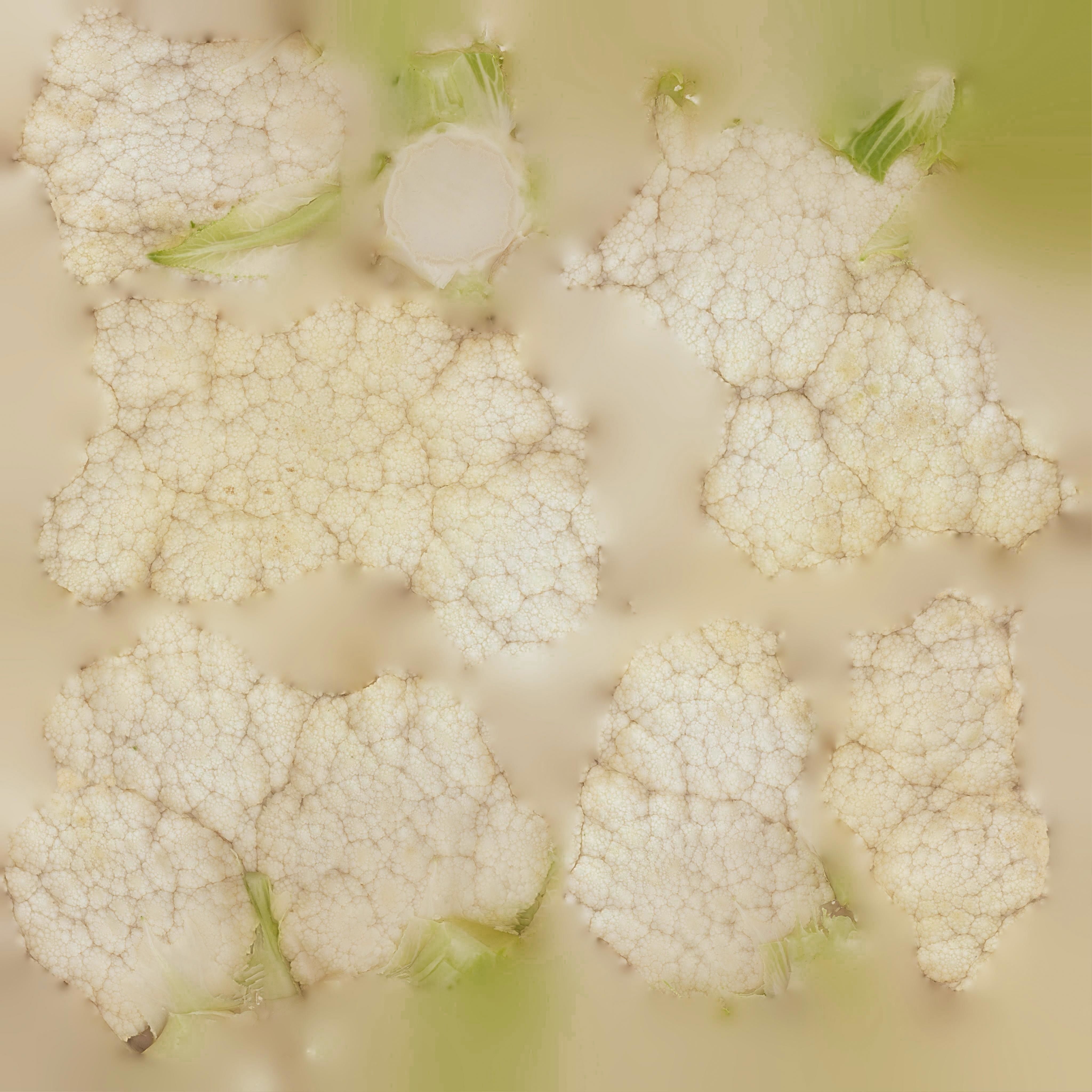Cauliflower 3D model_12