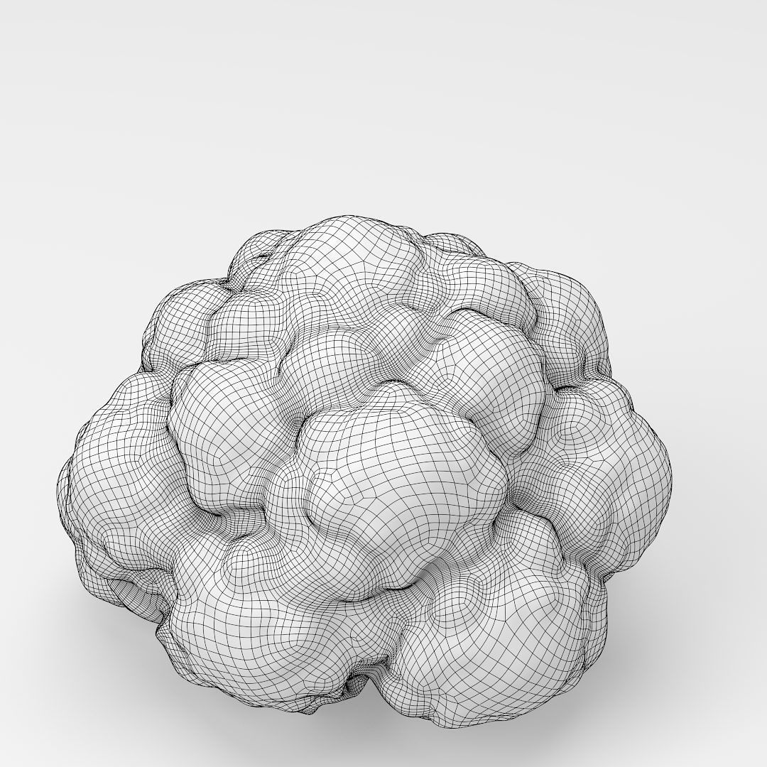 Cauliflower 3D model_7