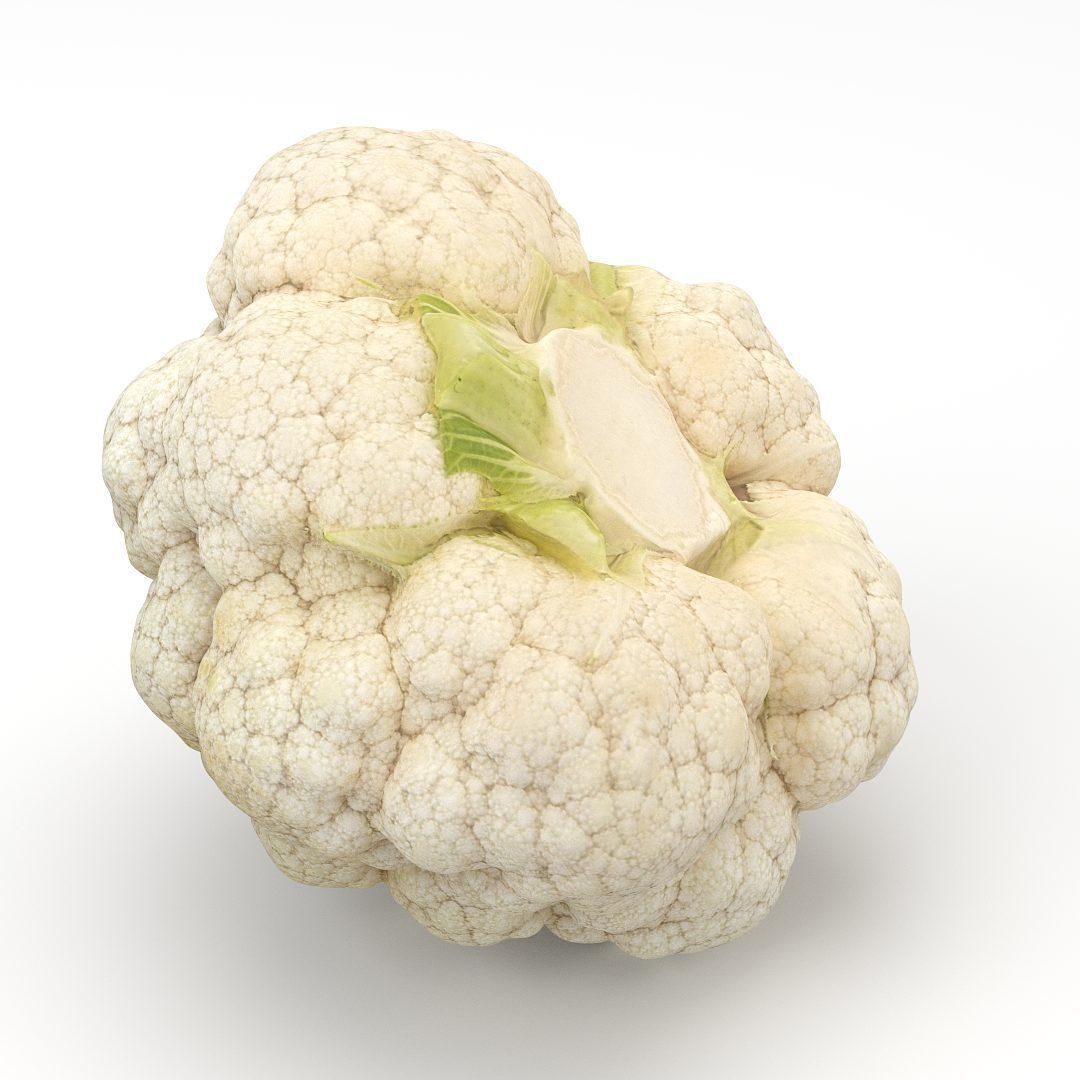 Cauliflower 3D model_4