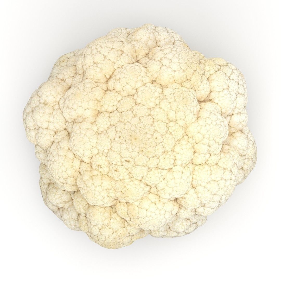 Cauliflower 3D model_8