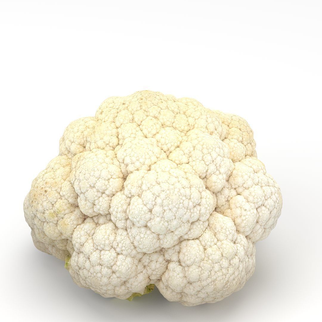 Cauliflower 3D model_3