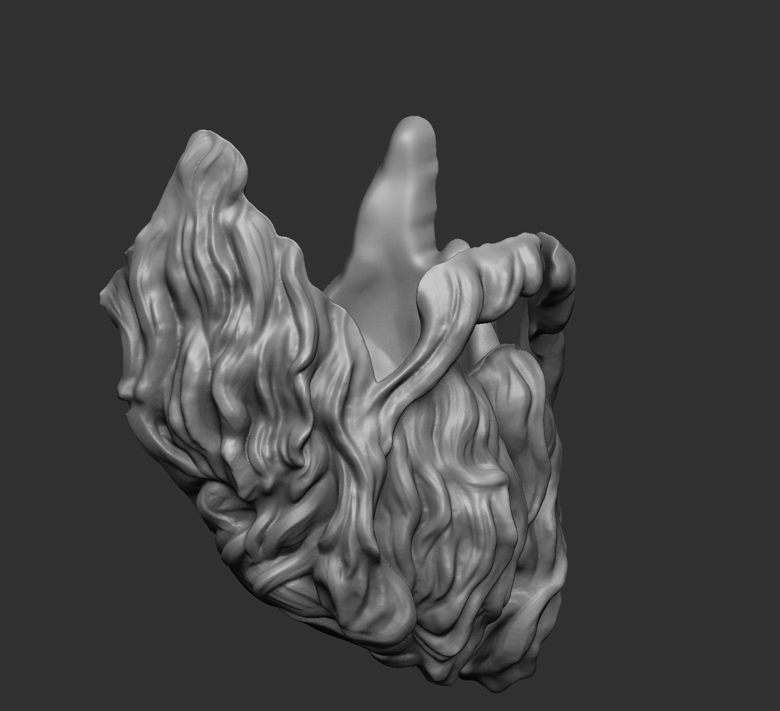 Beard 2 3D model_2