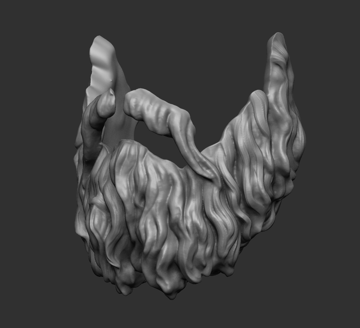 Beard 2 3D model_3