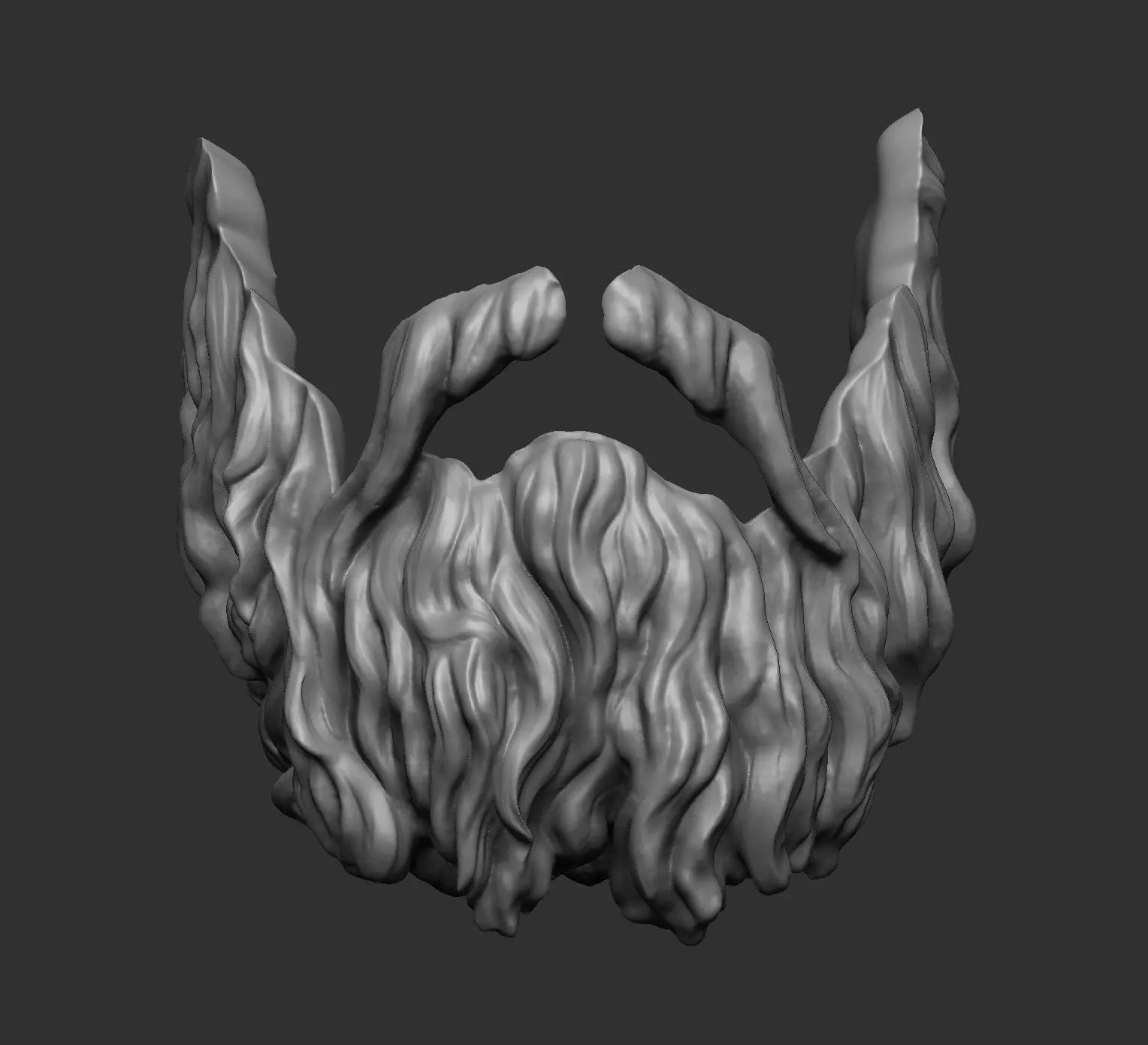 Beard 2 3D model_0