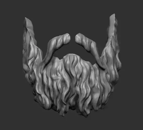 Beard 2 3D model