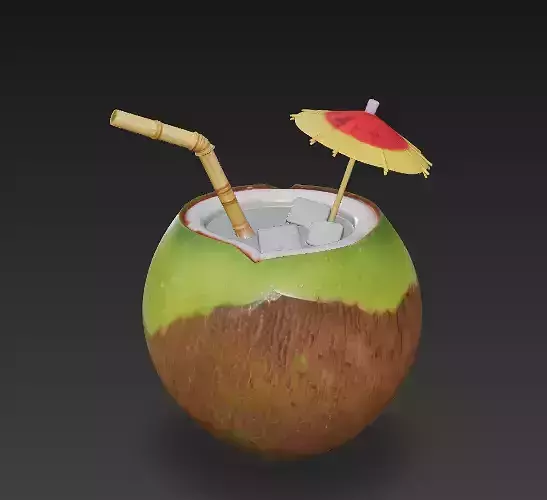 Tropical Chill Coconut Drink 3D Model Low-poly 3D model 2