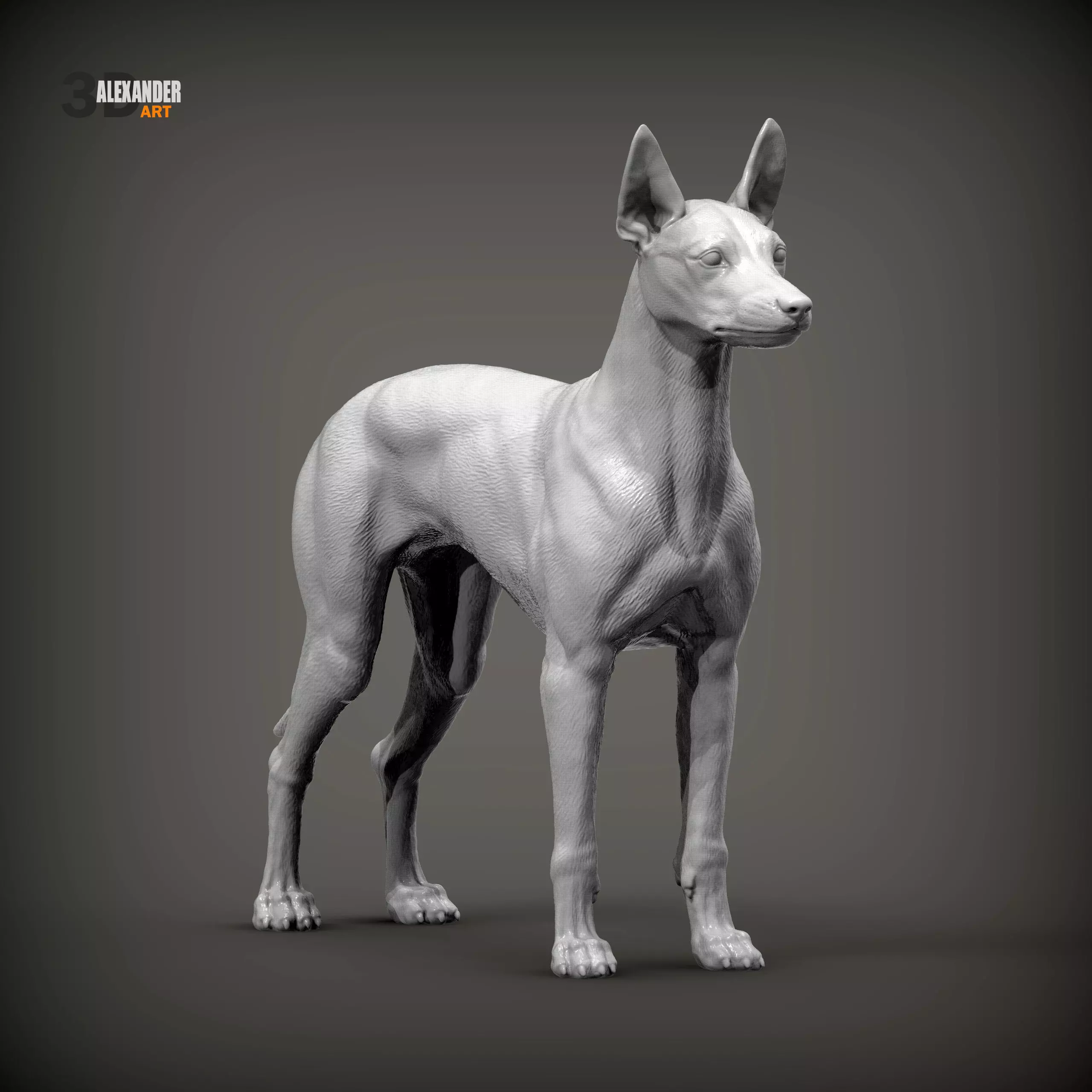 Ibizan Hound Dog Breed Health 3D print model