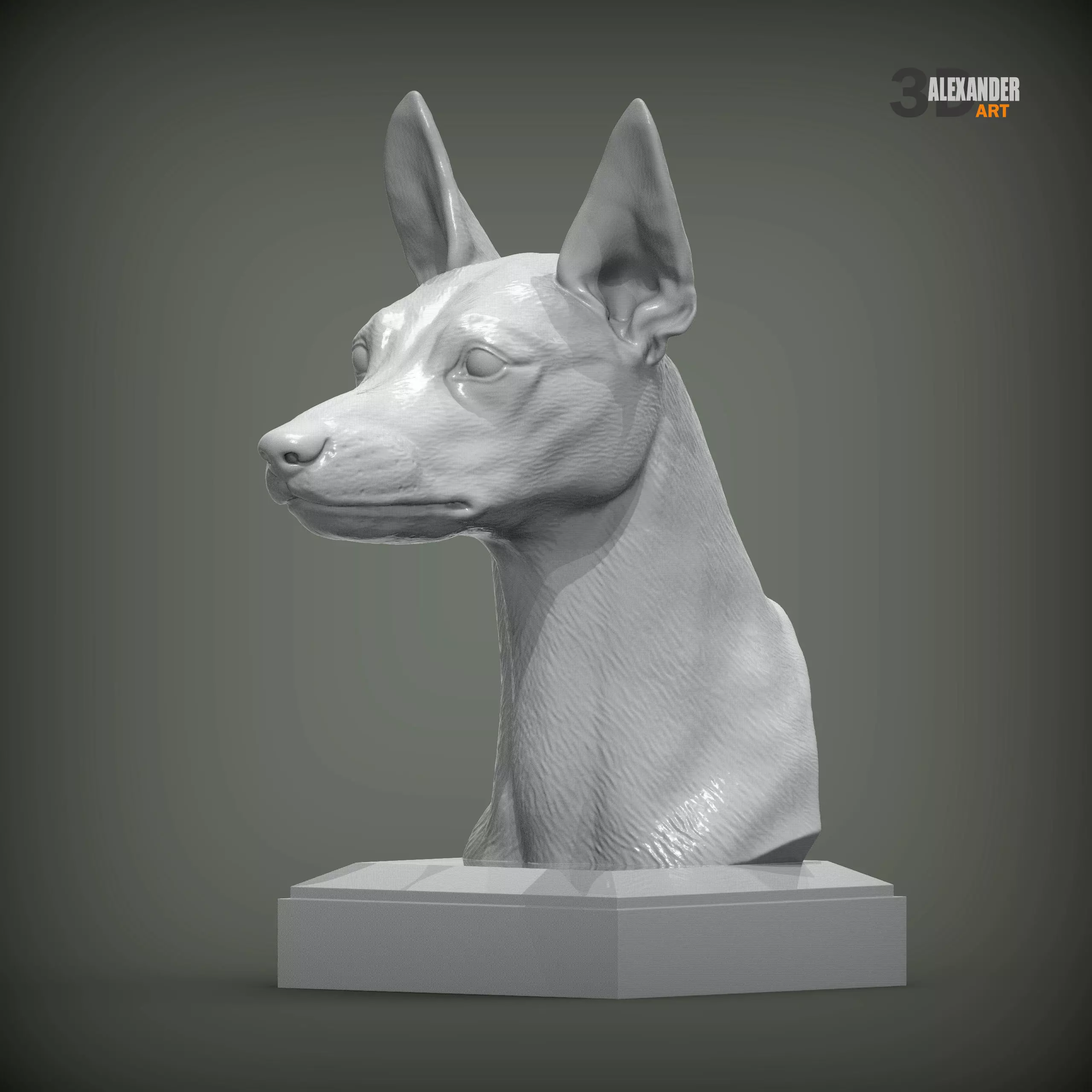 Ibizan Hound Dog Breed Health bust 3D print model
