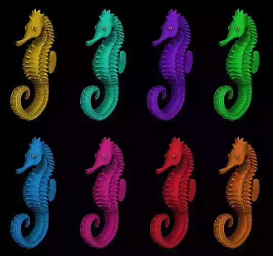 Rainbow Seahorse Collection 3D model