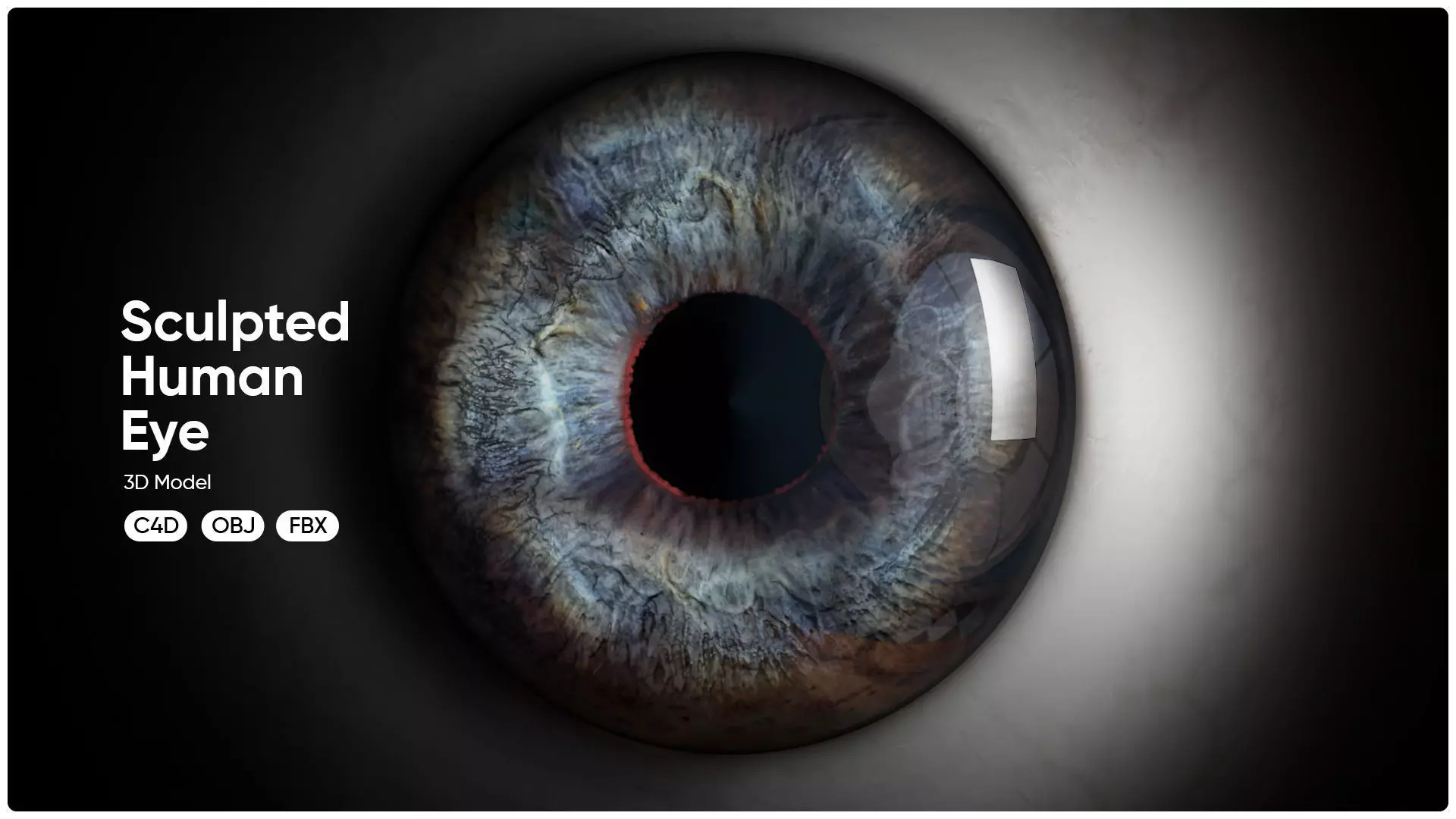 High Poly Sculpted Human Eye 3D model