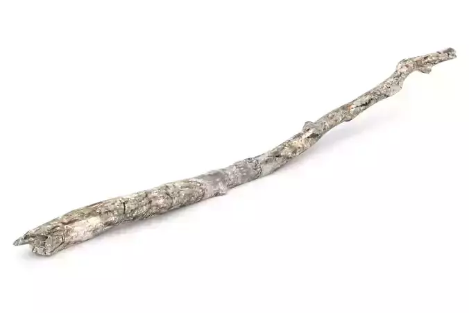 Wooden Stick Log Textures V-Ray Ready to Render Setup