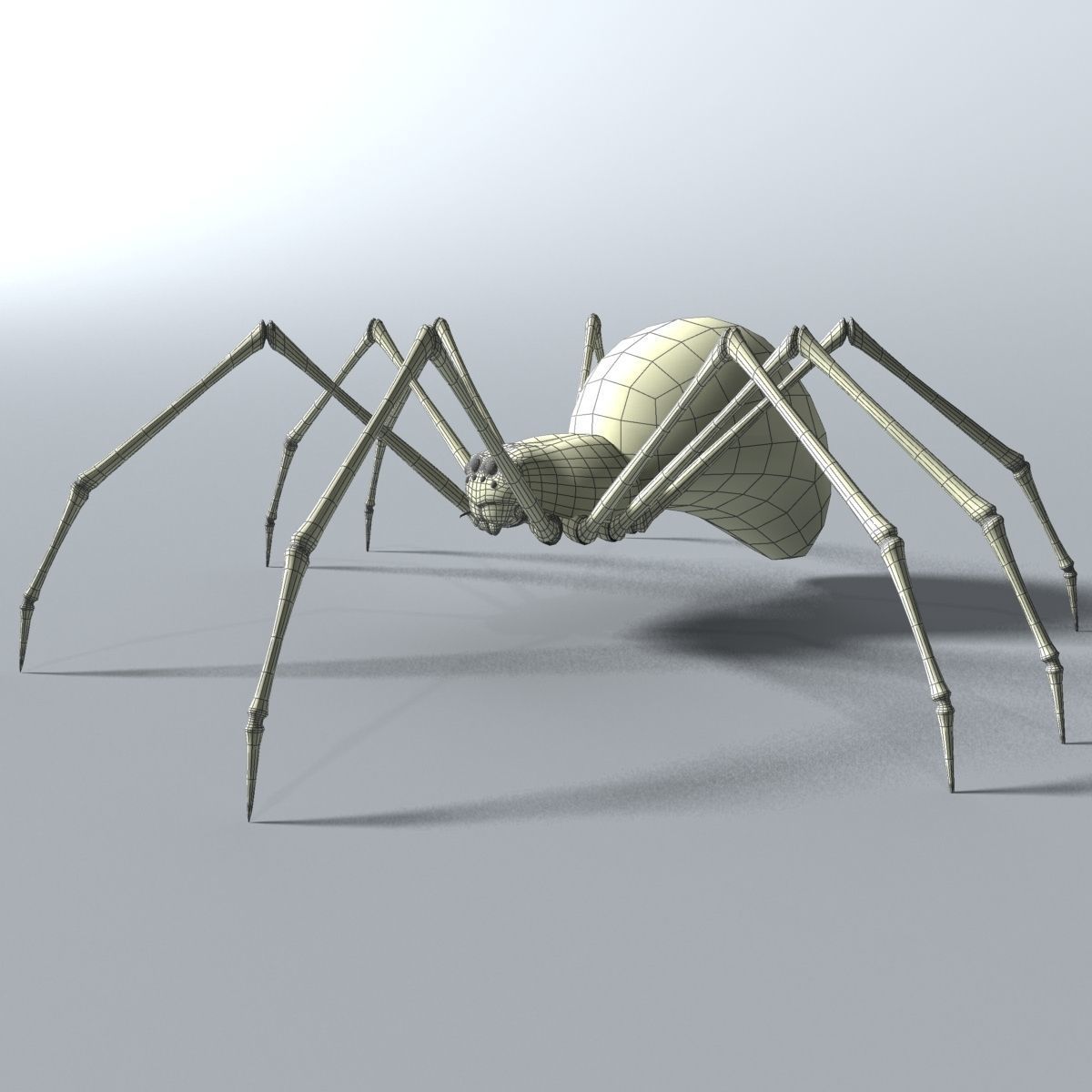 Black Spider Rigged Low-poly 3D model_11