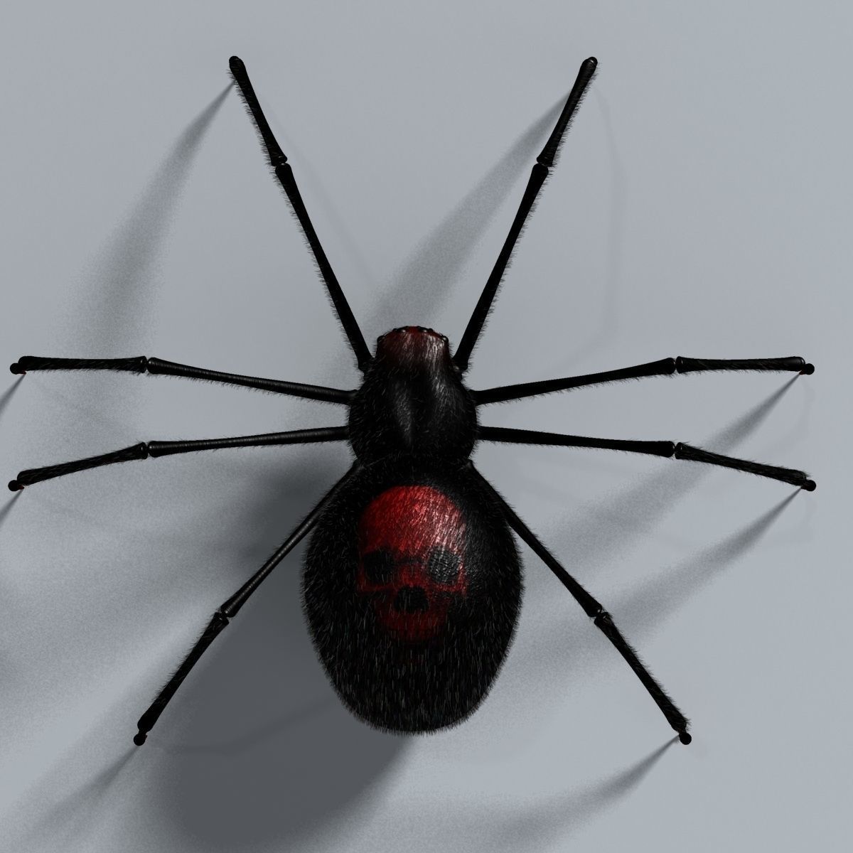 Black Spider Rigged Low-poly 3D model_7