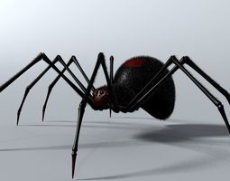 Spider 3D Models | CGTrader