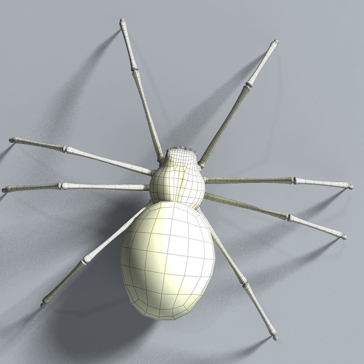 Black Spider Rigged Low-poly 3D model_10