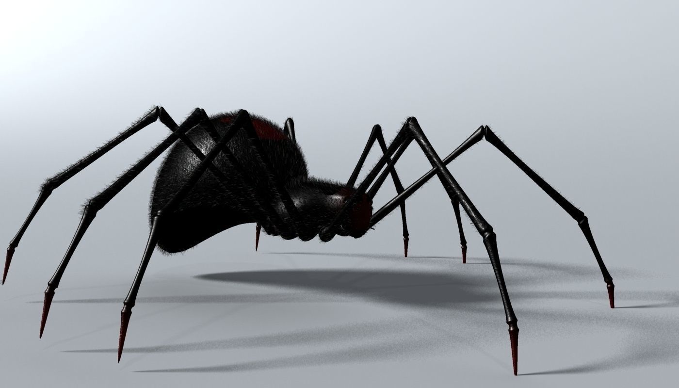 Black Spider Rigged Low-poly 3D model_1