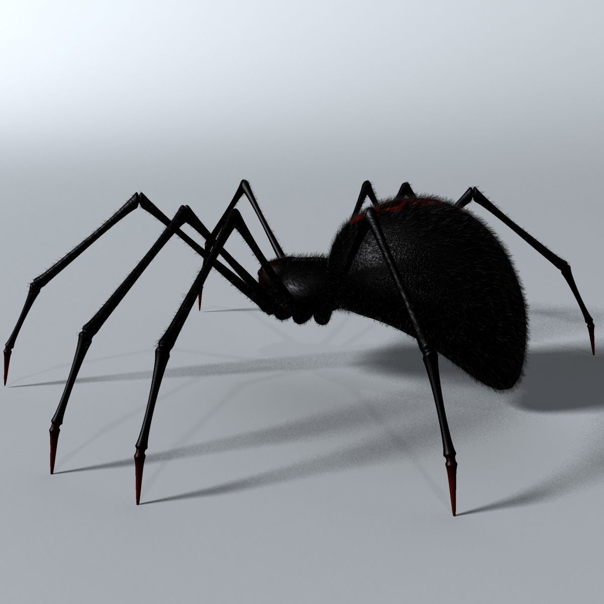 Black Spider Rigged Low-poly 3D model_6