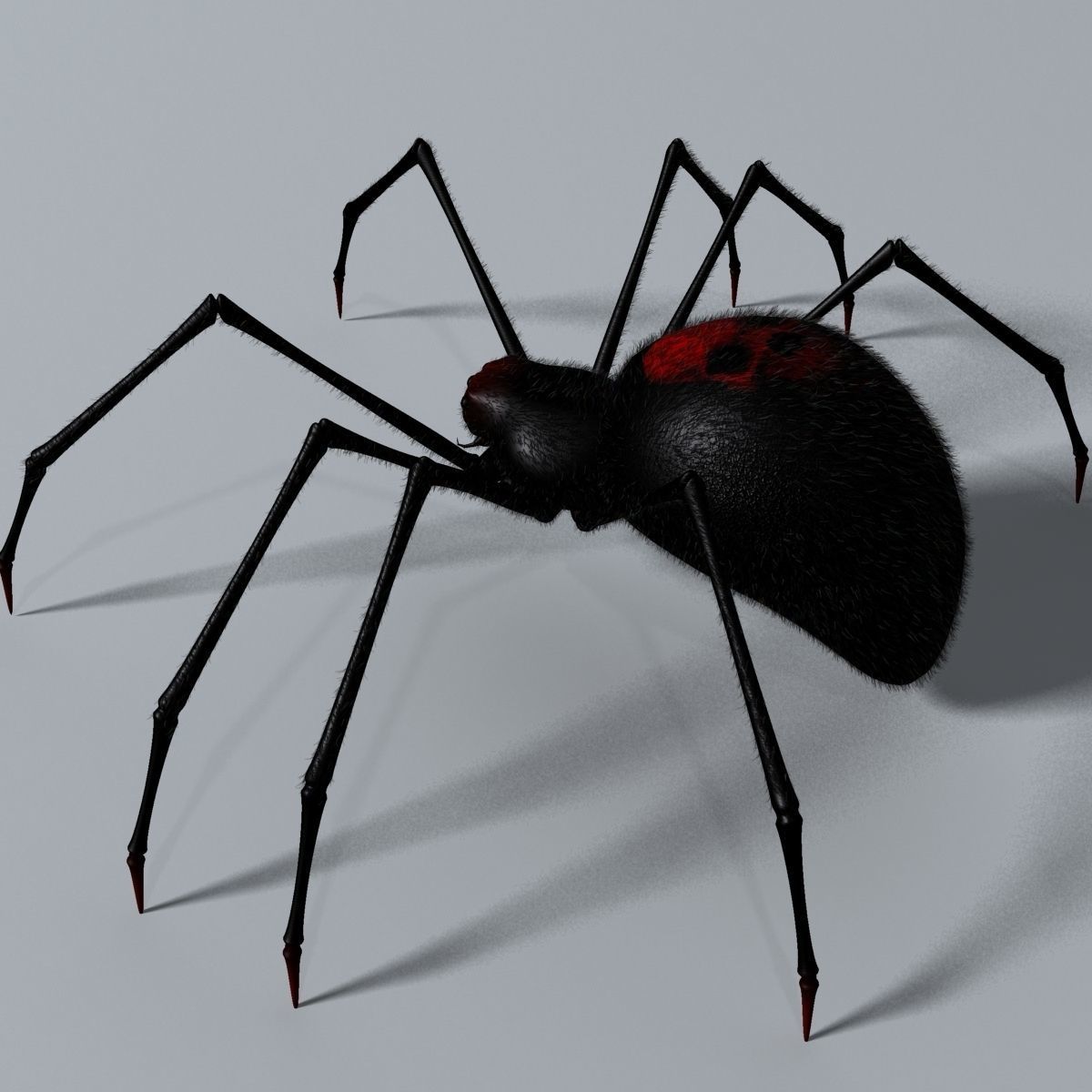 Black Spider Rigged Low-poly 3D model_5