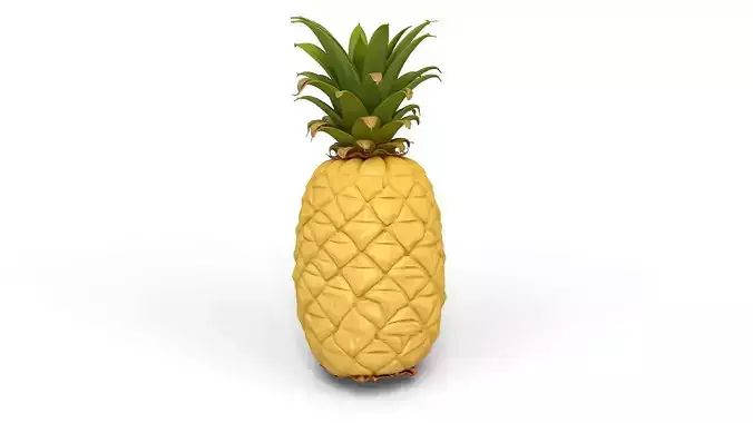 Juicy Yellow Pineapple Bundle - Tropical High Poly Collection 3D print model 7