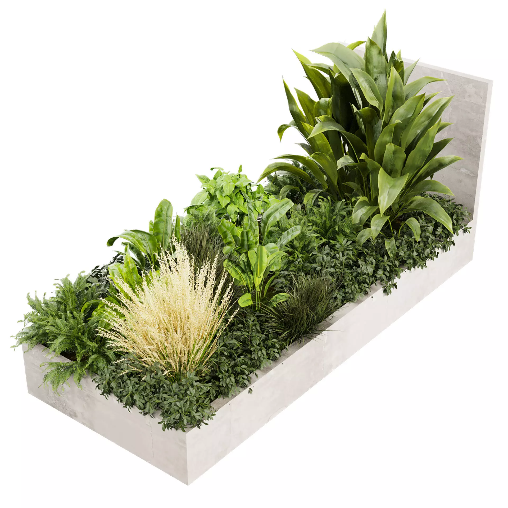 plant vol 805 - Entrance - banana - garden 3D model