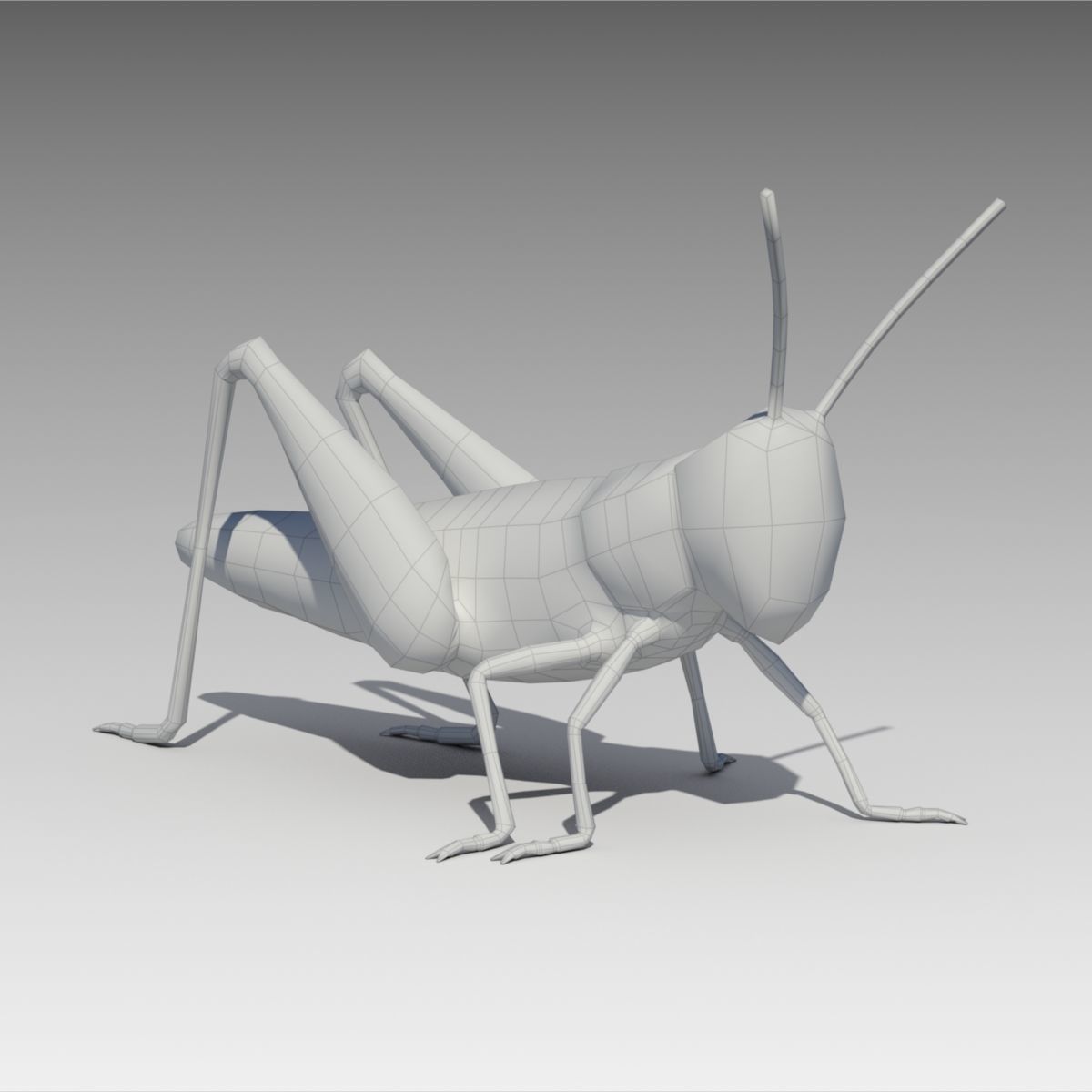 Grasshopper Animated Low-poly 3D model_2