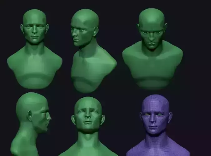 Free Male Bust - ZTL OBJ Free 3D model