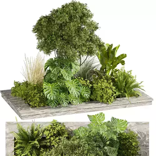 plant vol 807 - garden - leaf - banana - tree 3D model