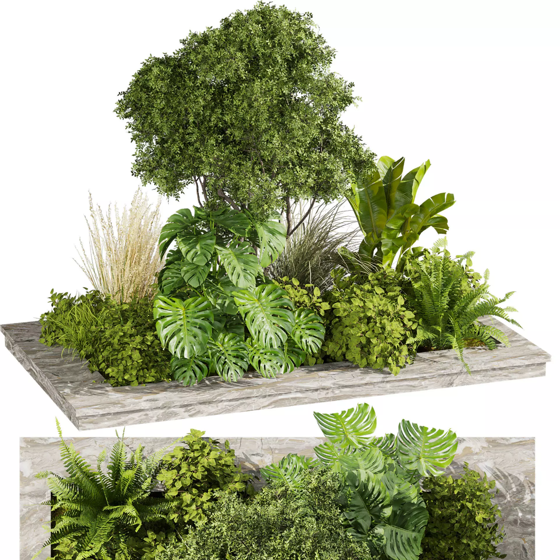 plant vol 807 - garden - leaf - banana - tree 3D model