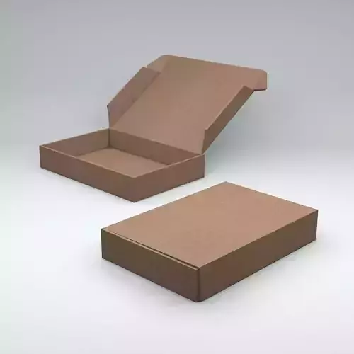 Package Box with Automatic and Folding Rig Low-poly 3D model