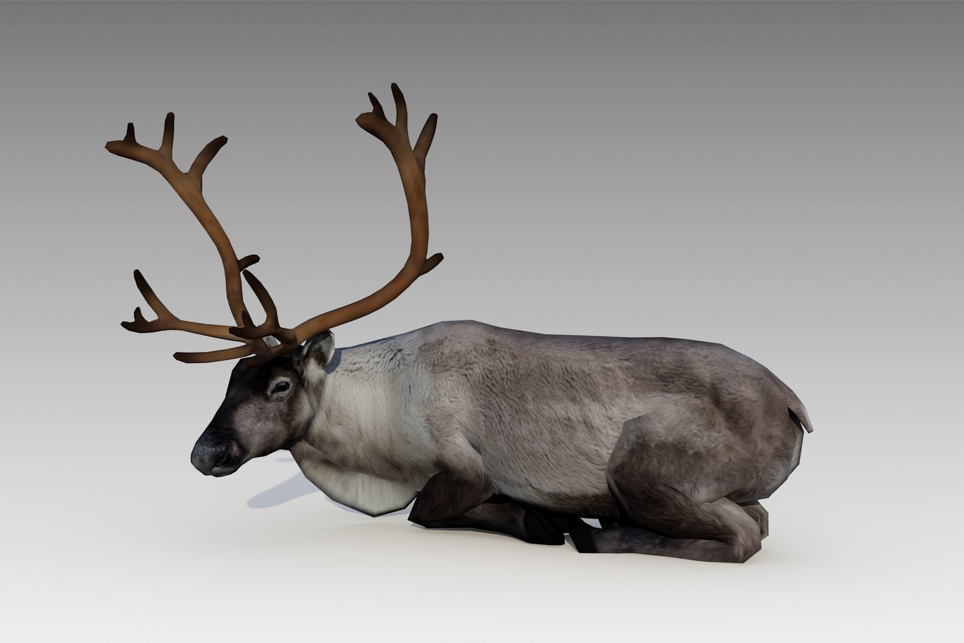 Reindeer Animated Low-poly 3D model_9