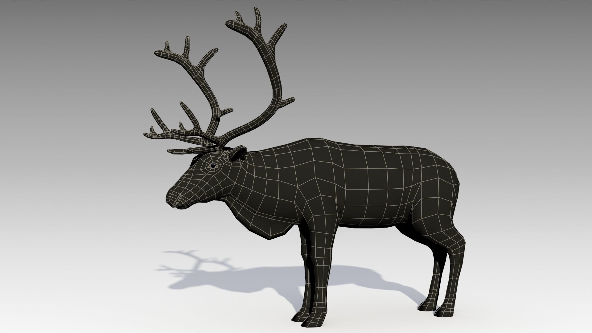 Reindeer Animated Low-poly 3D model_6