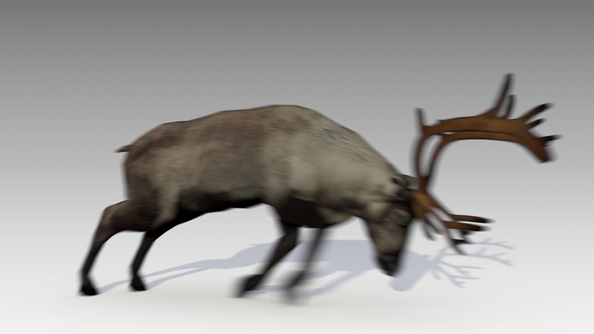 Reindeer Animated Low-poly 3D model_8