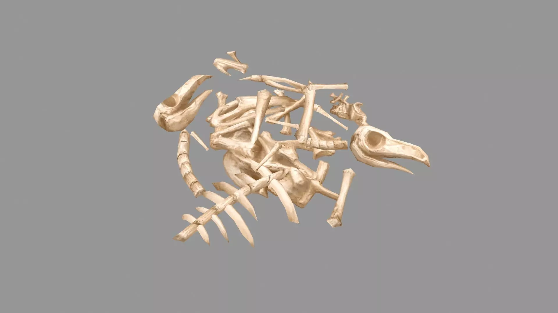 Cartoon bird bone pile Low-poly 3D model