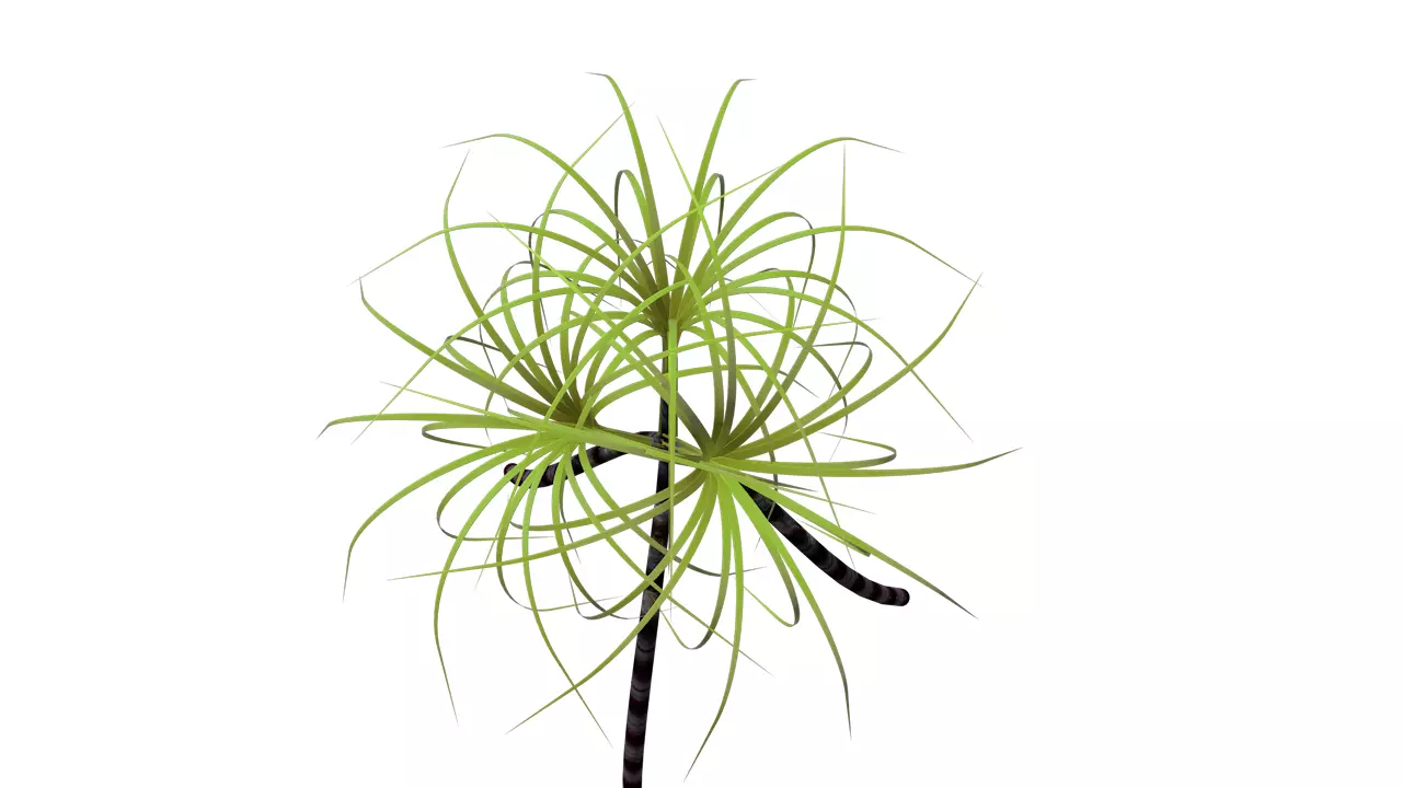 Sugarcane Tripod Symbol 3D print model