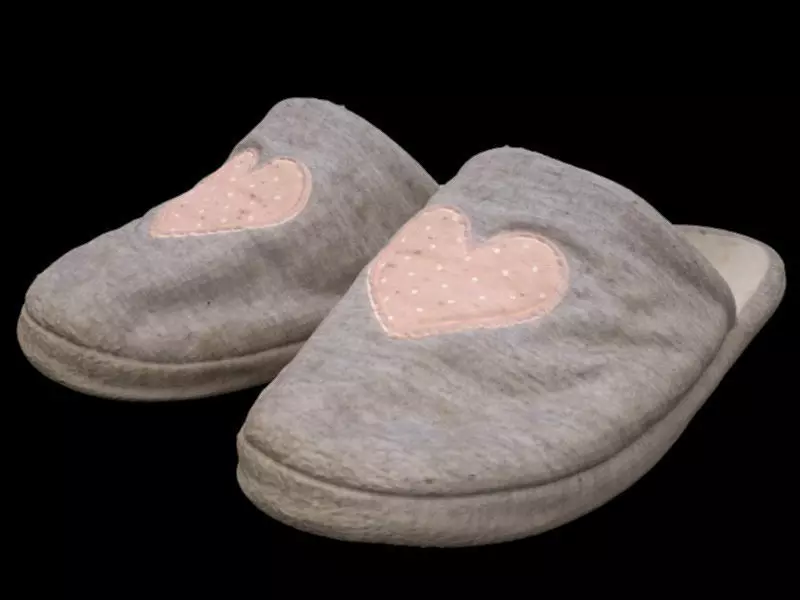 Bedroom Slippers 3D model