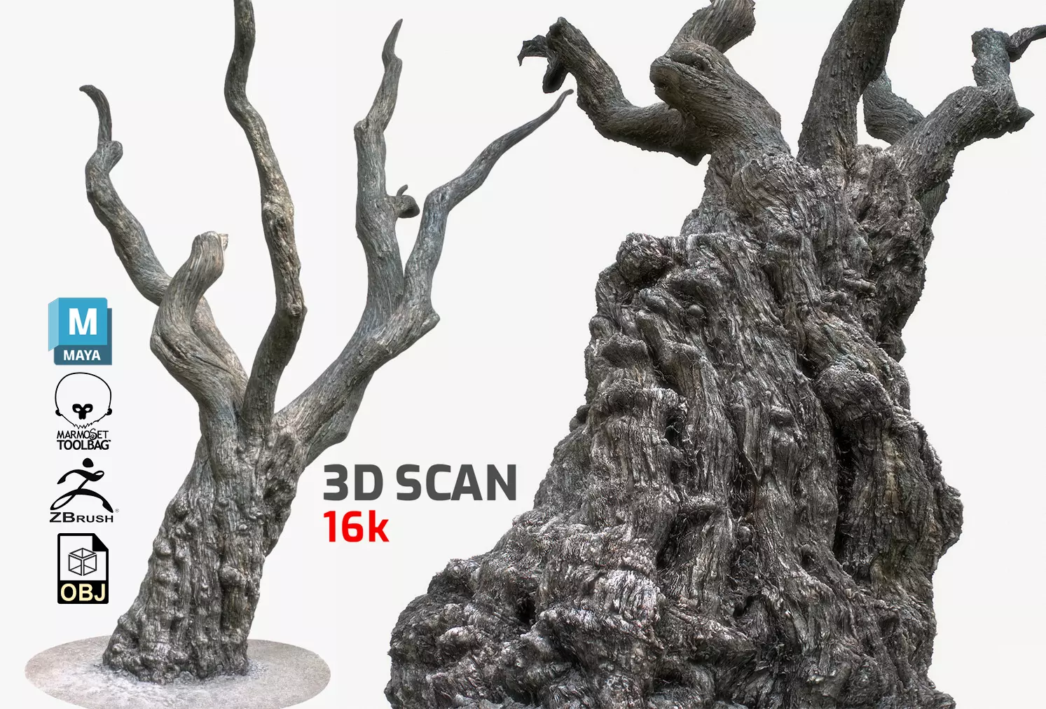 PBR Game Ready 3DModel TreeTrunk1 Maya ZBrush MarmosetToolbag Low-poly 3D model