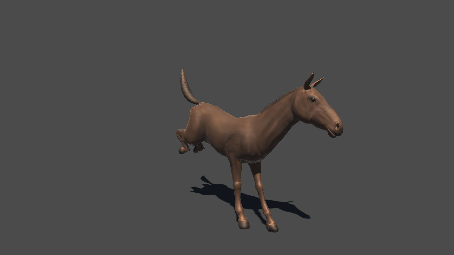 Animated Horse Low-poly 3D model_9