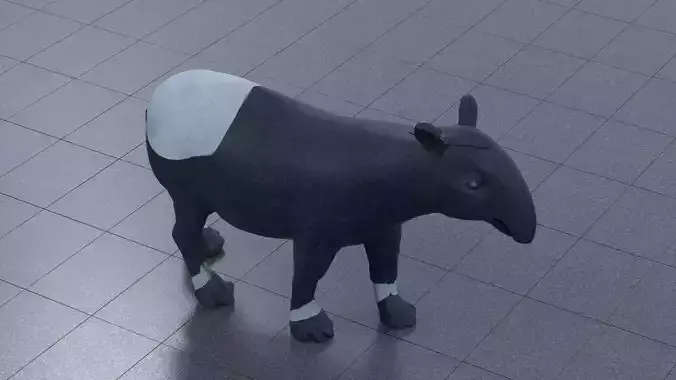 Malayan Tapir