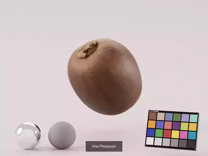 Tropical Fruit Pack 6